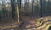 Tour Wandern Jalhay - la hoegne - Photo 1