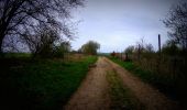 Excursión Bici de montaña Charleroi - VTT de Ransart à Mellery - Photo 9