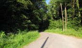 Tocht Stappen Choisy-au-Bac - en forêt de Laigue_7_06_2020_sur les routes de la Fontaine à Baril_Belle Assise_Plessis-Brion_chemin de Voie d'Eau - Photo 4