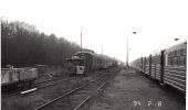 Tocht Te voet Maasmechelen - Station As Blauwe ruit - Photo 3