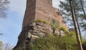 Excursión Senderismo Wangenbourg-Engenthal - Le donjon du Wangenbourg - Photo 9