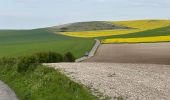 Randonnée Marche Escalles -  Cap Blanc Nez-Wissant-mont de Couple 25 km - Photo 8