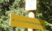 Trail Walking Thoiry - La Galoppaz-2022-05-21 - Photo 3