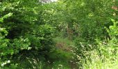 Tocht Stappen Rethondes - en forêt de Laigue_4_08_2019_Mont du Fouilleux_Mont des Singes_Marais de Francière - Photo 19