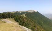 Tour Wandern Valbelle - Rando 27/06/2022 - Photo 4