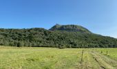 Tocht Stappen Ceyssat - Puy-de-Dôme, Petit Suchet et Grand Suchet - Photo 15