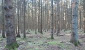 Trail Walking Theux - autour du bois de la porallée - Photo 7