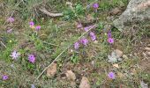 Randonnée Marche Le Muy - Le rocher de roquebrune  - Photo 3