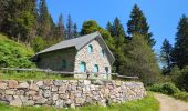 Trail Walking Orbey - Circuit des 2 lacs : lac du Forlet et lac Vert - Photo 14