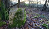 Tour Wandern Tallenay - Royales bornes chailluz photos Michel - Photo 17