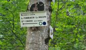 Trail Walking Sainte-Croix-aux-Mines - Le Hury par le Petit-Haut - Photo 12