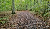 Trail Walking Vendôme - Petit parcours dans la partie Sud-est du Bois de l'Oratoire - Photo 3