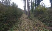 Trail On foot Villers-le-Bouillet - FIZE 2019-11-11 - Photo 8