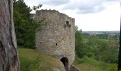 Excursión A pie Gemeinde Wöllersdorf-Steinabrückl - Wöllersdorf Rundwanderweg Naturlehrpfad 