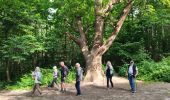 Trail Walking Montlignon - Le chateau de la chasse - Photo 8