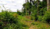 Randonnée Marche Coyolles - en forêt de Retz_78_les rayons du Rond Capitaine - Photo 4