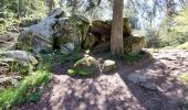 Tour Wandern Ceyrat - GORGES DE CEYRAT EN BOUCLE PAR BERZET - Photo 9