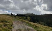 Trail Walking Mont-Dore - Le Capucin - Photo 2