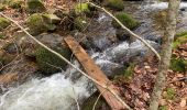 Excursión Senderismo Brassac - L’escalier de la Peyre par les Costes - Photo 8