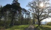 Tocht Stappen Rochefort - Au départ de Montgauthier - Photo 10