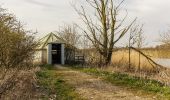 Trail On foot Lelystad - 't Langepad - Photo 10