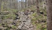 Trail Walking Unknown - Parc naturel de Kristiansand  - Photo 5