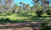 Trail Walking Aix-en-Provence - 13-bibemus_barrages_zola&bimont_10km270m - Photo 17