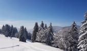 Excursión Esquí de fondo La Rippe - germine - Photo 7