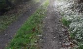 Trail Walking Cluny - Cluny Rando des moines - Photo 3