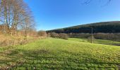 Tour Wandern Theux - Theux Natura 2000 château Franchimont - Photo 5