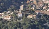 Tocht Stappen La Valette-du-Var - Du Tourris aux Olivières - Photo 2