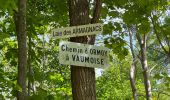 Percorso Marcia Ormoy-le-Davien - 040522 - Boucle Ormoy le Davien - Moulin de Wallu... - Photo 8