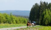 Tocht Paard Saint-Hubert - De Chevauchée forestière - Photo 1