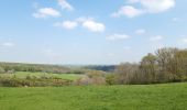 Percorso Marcia Sprimont - les forges . fraipont . andoumont . les forges - Photo 18