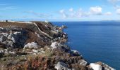 Trail Walking Camaret-sur-Mer - camaret 3 penhir - Photo 5