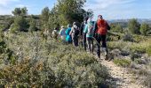 Randonnée Marche Aureille - PF-Aureille - La Vallongue d'Aureille - MDu - Photo 13