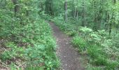Trail Walking Dison - Andrimontma - Photo 2