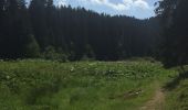 Tocht Stappen Morzine - Crêtes aborigènes - Photo 1