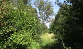 Tocht Te voet East Northamptonshire - Lyveden Way - Photo 4