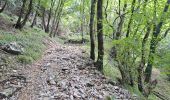 Tour Wandern Bagni di Lucca - Limano - Madonna Di Limano - Photo 3