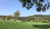 Tour Wandern Amel - Herresbach Emile - Photo 1