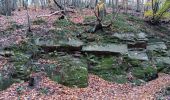 Tocht Stappen Chaudfontaine - gare - château des thermes /aller via les monts retour via la vesdre  - Photo 12