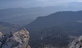 Tocht Sneeuwschoenen Villard-de-Lans - randonnée du pas de l'œil - Villard de Lans - Photo 6