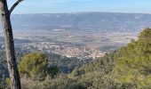 Tour Wandern La Roque-d'Anthéron - PF-La-Roque-d'Anthéron - La Chaîne des Côtes - Reco - Photo 18