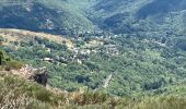 Tocht Stappen Dourbies - La Dourbie la Hêtraie la Dourbie - Photo 1