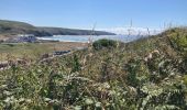 Tour Wandern Cléden-Cap-Sizun - Pointe du Van - Photo 11