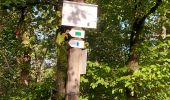 Trail Walking Vresse-sur-Semois - Bohan 150922 - Photo 19
