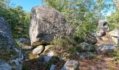 Randonnée Marche Fontainebleau - Fontainebleau sentier Denecourt 6 Est 6-6 - Photo 12