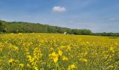 Trail Walking Dampmart - Boucle autour de Dampmart - Photo 8