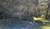 Trail Walking Signes - Plateau d'Agnis en partant de La Marseillaise - Photo 6